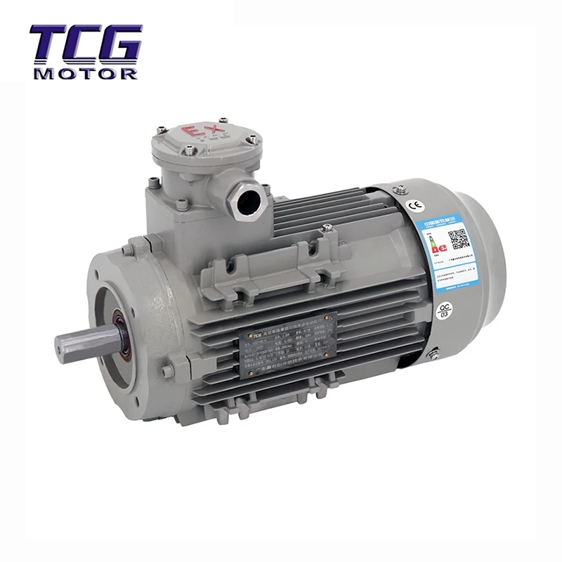 Ex d IIC T4 বিস্ফোরণ প্রমাণ মোটর B14 ছোট ফ্ল্যাঞ্জ
