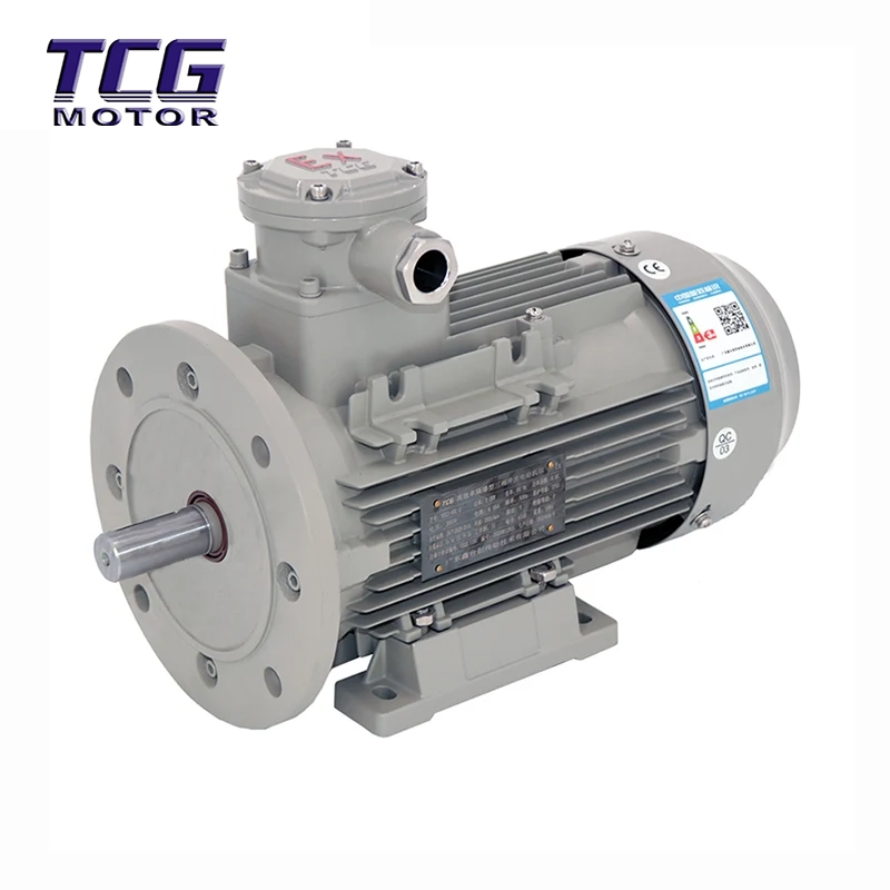 Ex d IIC T4 বিস্ফোরণ প্রমাণ মোটর B35 ফুট
