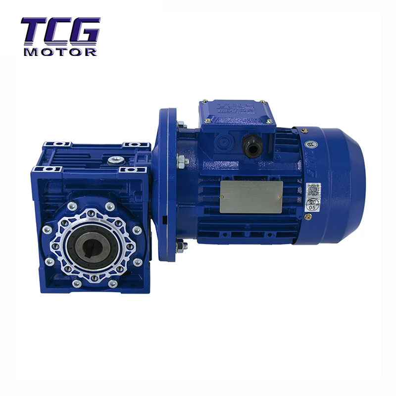 Worm Gear Reducer