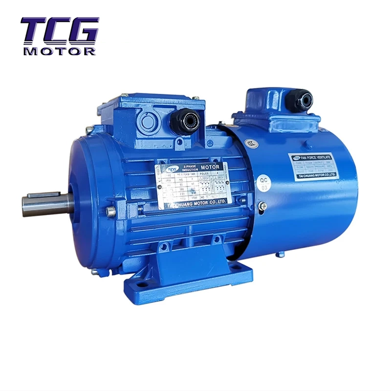 ইনভার্টার ডিউটি ​​অ্যালুমিনিয়াম মোটর